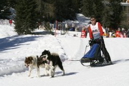 San Bernardino 2008